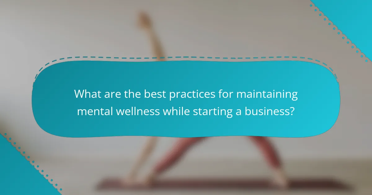 What are the best practices for maintaining mental wellness while starting a business?