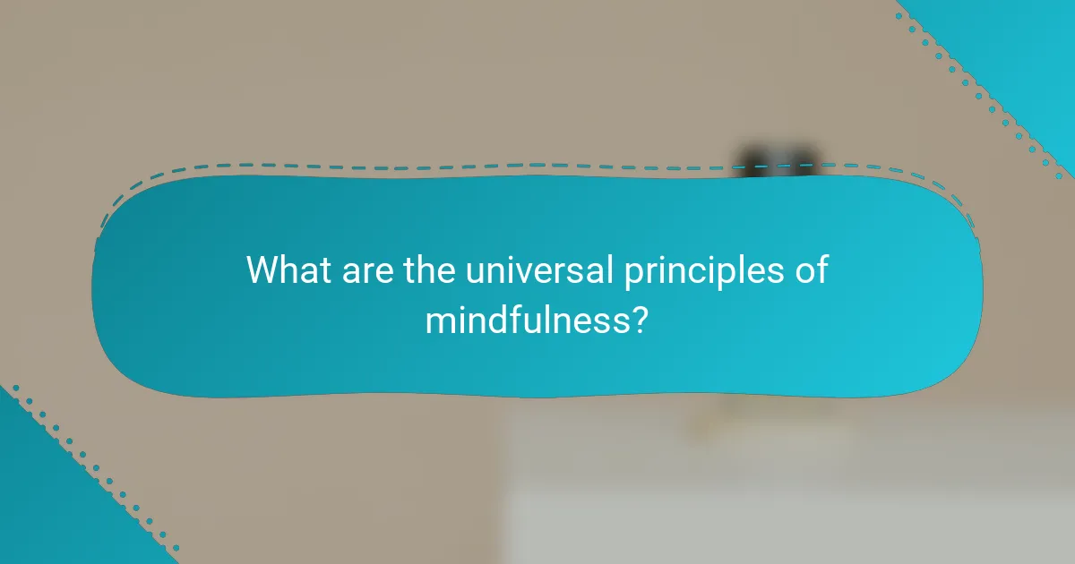 What are the universal principles of mindfulness?